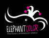 Elephant Color
